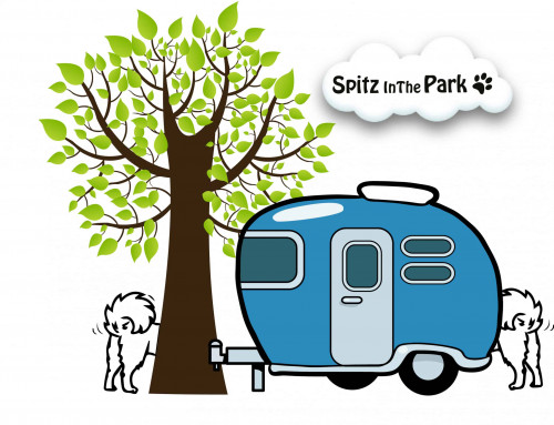 Spitz in the Park 2024