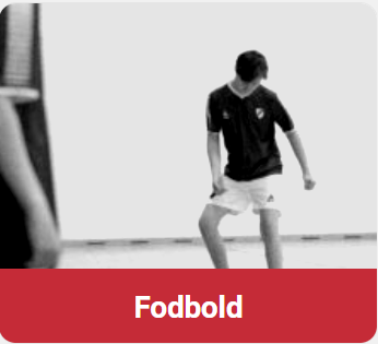 Fodbold