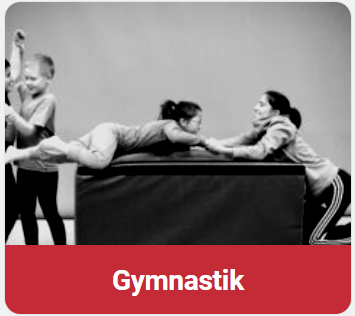 Gymnastik