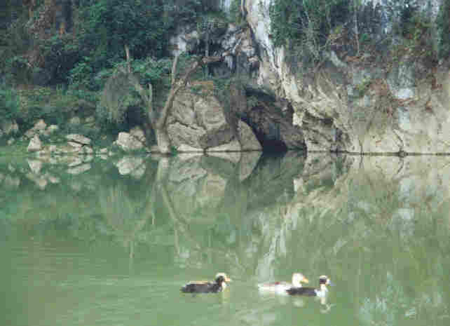 Temporary lake of the Chieng Ban riverat CB1 after a rainy night