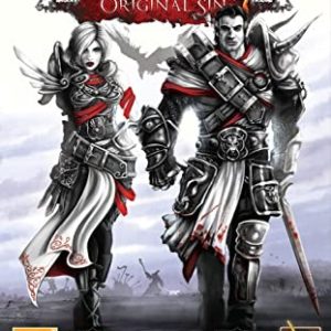 Divinity Original Sin