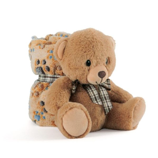 Teddy Bear Soft blanket + plush toy 22cm