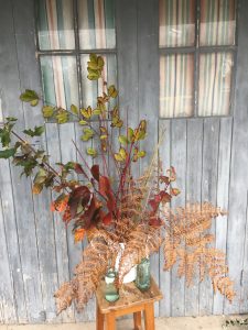 Autumn foliage at St Michael's Trading Estate, outside Old Albion