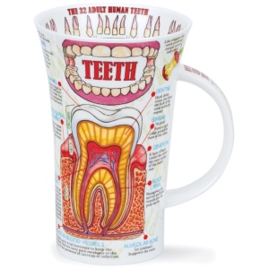 Teeth