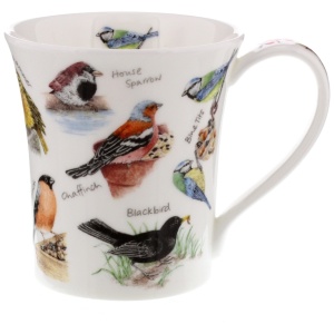 Birdlife - Bluetit
