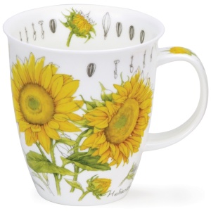 Floral sketch sunflower