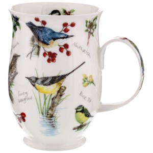 Dawn song - Nuthatch