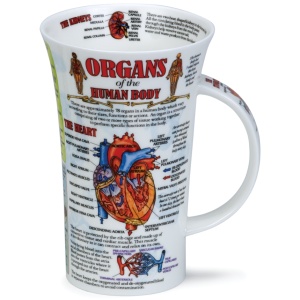 Organs