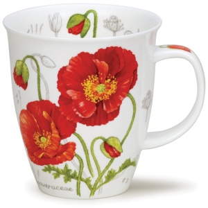 Botanical sketch poppy