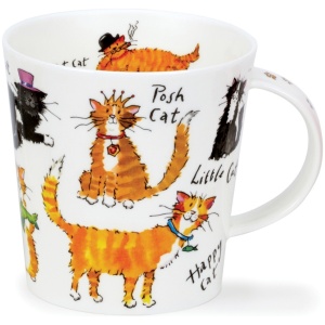 A cat`s life
