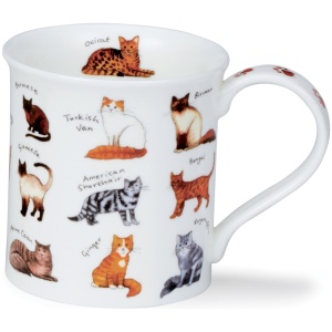 Animal breeds - Cat