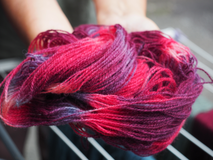 Kurs i plantefarger- - Bilde 4