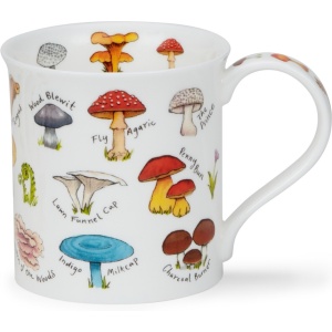 Mushrooms & Toadstools - Red