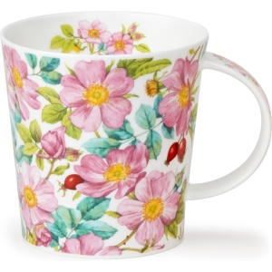 Wild rose - Villrose