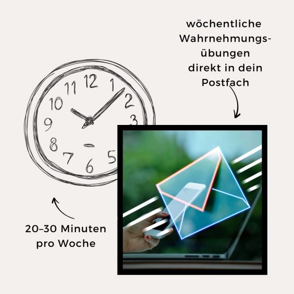 Onlinekurse & Abos 15 Alternative view of Heilsteine verstehen – JahresAbo