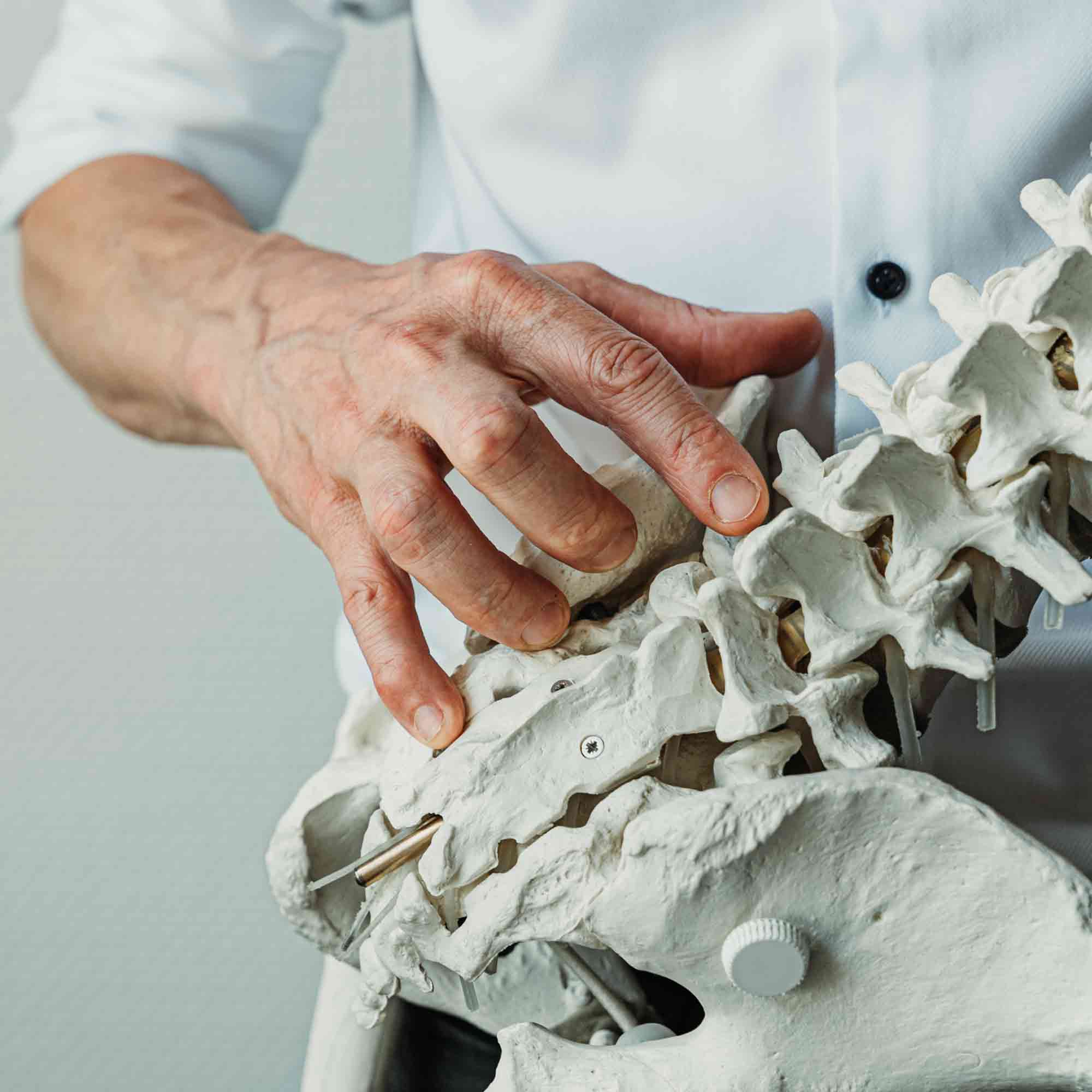 Hand des Physiotherapeuten auf einem Skelett der Wirbelsäule und des Beckens