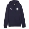 Puma Goal Casuals Hoodie