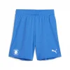 Puma Goal Shorts