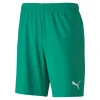 Puma teamGOAL Shorts