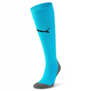 Team LIGA Socks CORE