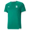 Puma teamLIGA Jersey