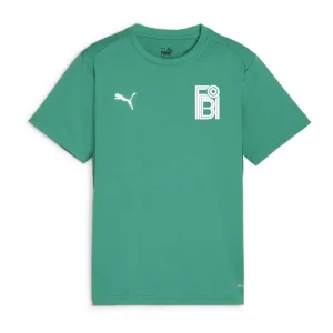 Puma teamGOAL Jersey