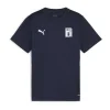 Puma teamGOAL Jersey