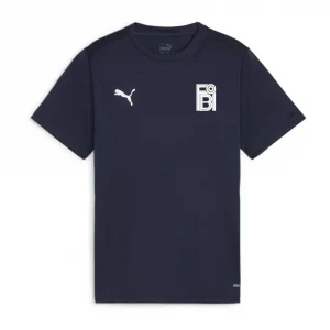 Puma teamGOAL Jersey