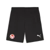 teamGOAL Shorts