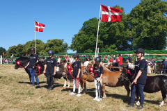 508886378_1452890565893733_7782723966804485190_n