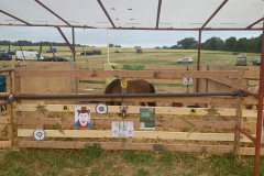 508961597_1251689009280459_3293745199926191021_n