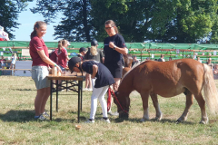 509143826_1384877802810989_1806040448487851641_n