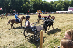 509438542_1401109874344316_3260555776027611532_n