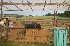 509736396_1550186645943358_3754239738176721959_n