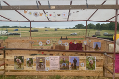 509773166_588003397370609_1638809633691070665_n