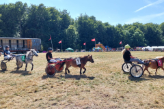 509966203_1034003475608733_6817027865704181531_n