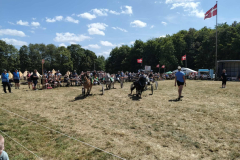 510452608_1024487053232324_298863085546994151_n