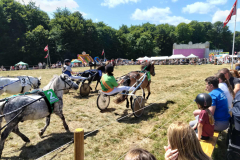 510583611_4076374652688859_4167905917565636771_n