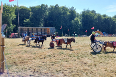 511152207_655392874185793_206431954135548384_n