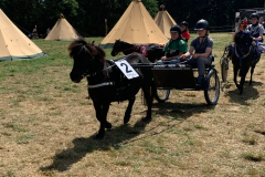 512353355_1290253352720638_2468893036365702433_n