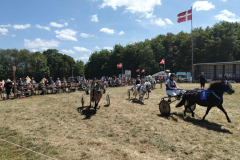 513783908_1362319004872584_3782008571693455011_n