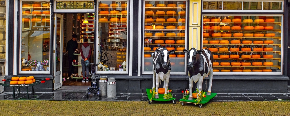 Typical Dutch Tour in Delft