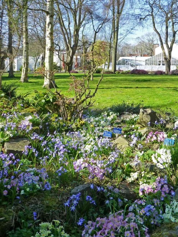 Bezoek de Botanische Tuin in Delft