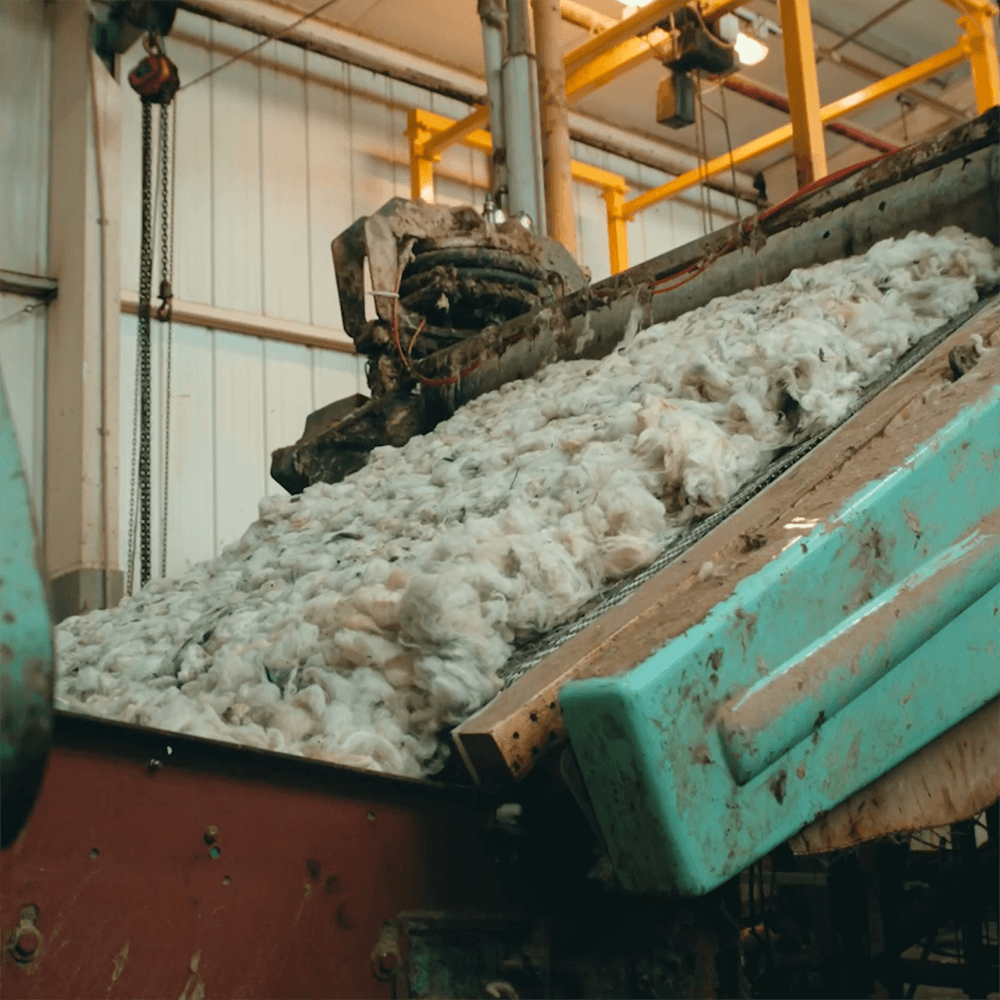 Scoured Wool Standard wool