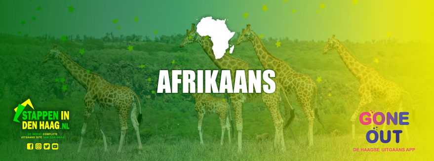 afrikaans-eten-in-denhaag-keuken-afrika-stappenindenhaag