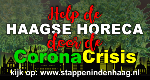 help-de-haagse-horeca-stappen-in-den-haag_300x160