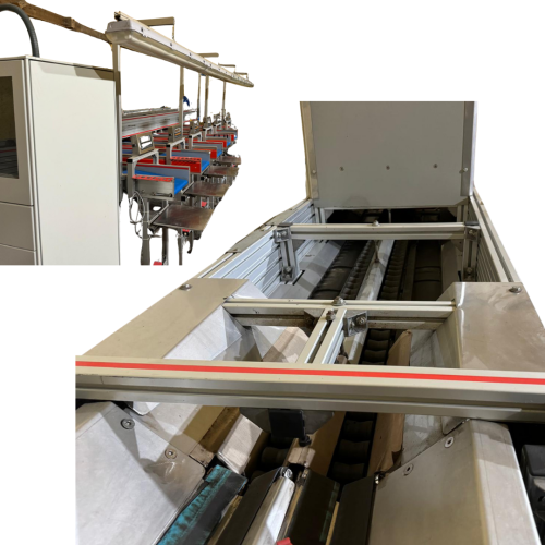 CHERRY SORTER 2 TRACK SIZE/COLOUR WITH AUTOMATIC SCALES AND STEM SPLITTER II - Image 5