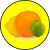 citrus path234-50