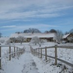 vinterhus-blå
