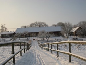 IMG_8268